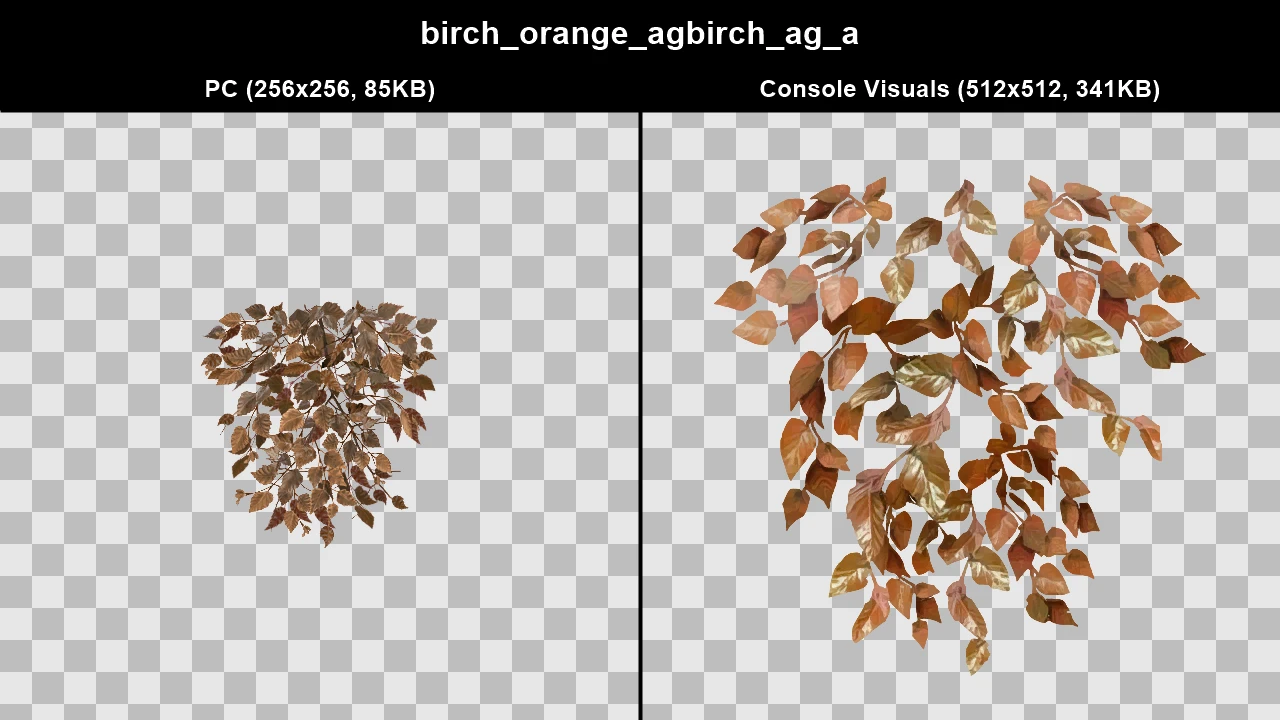 birch_orange_agbirch_ag_a