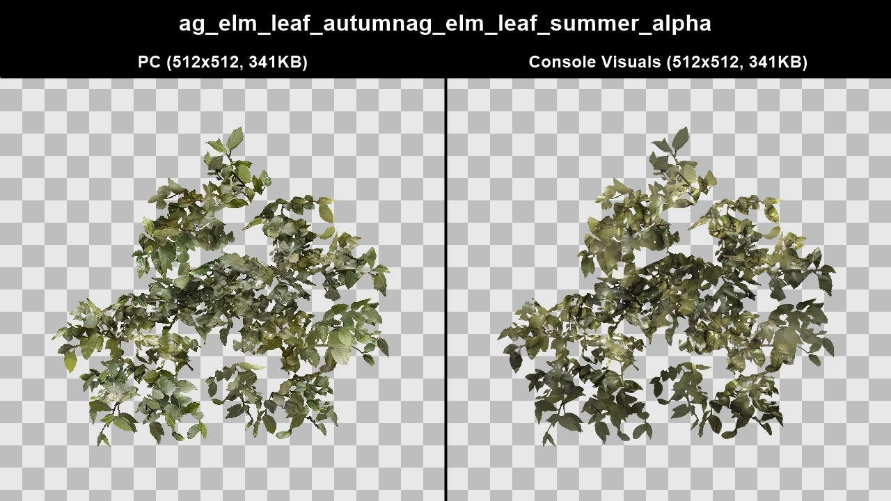 ag_elm_leaf_autumnag_elm_leaf_summer_alpha