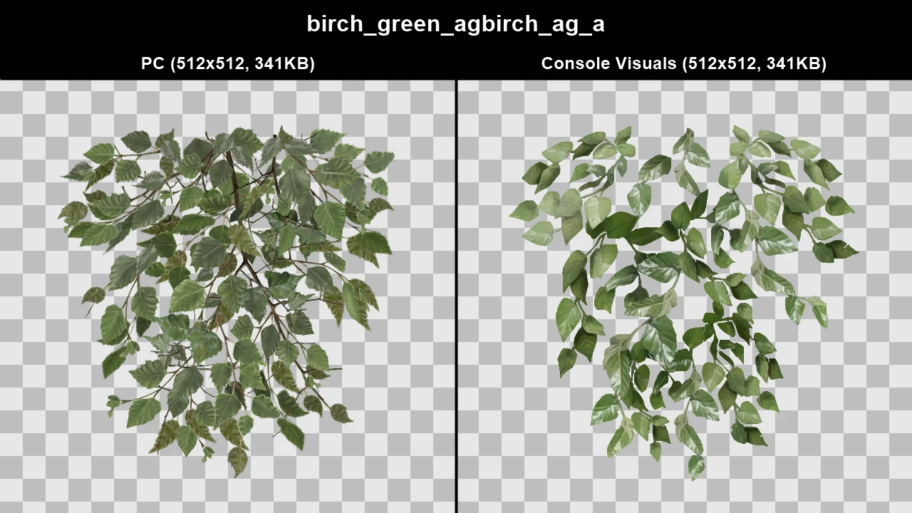 birch_green_agbirch_ag_a