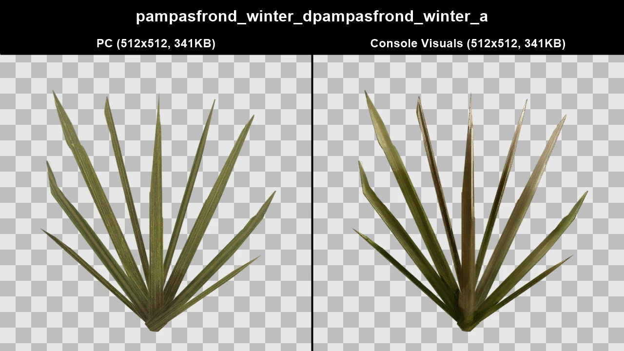 pampasfrond_winter_dpampasfrond_winter_a