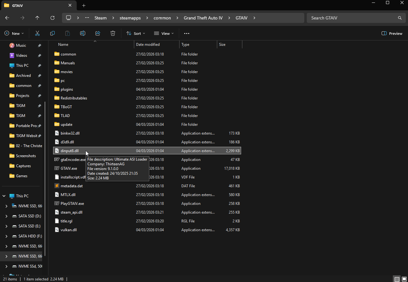 dinput8.dll within the GTA IV folder
